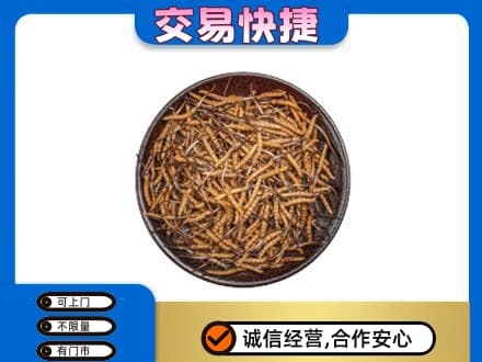 朗县高价回收散虫草